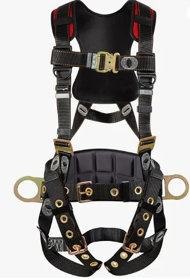 Climbing Harness